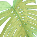 Image Not Available